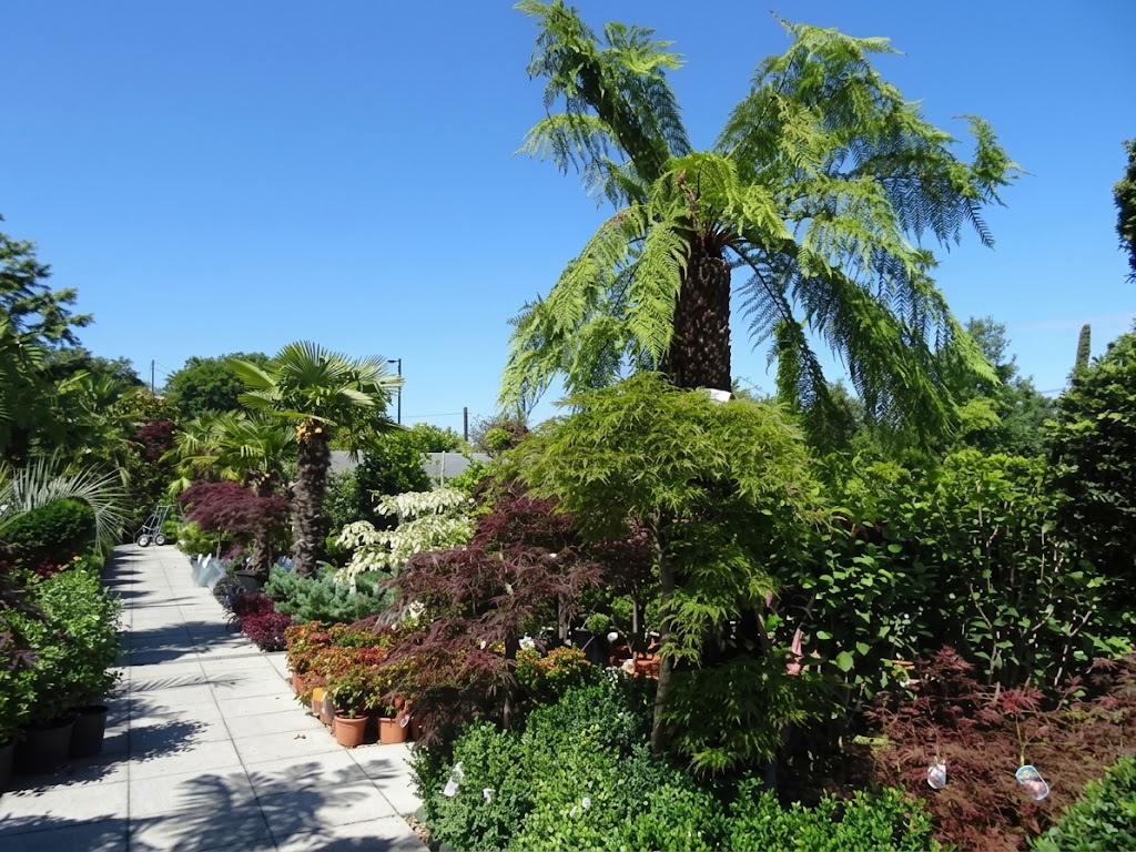 Mature planting creating an established garden framework